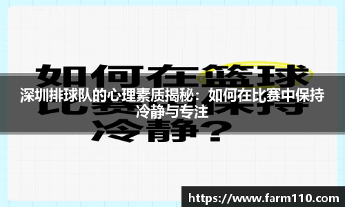 深圳排球队的心理素质揭秘：如何在比赛中保持冷静与专注