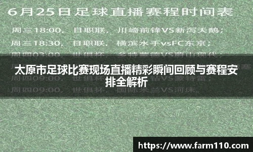 太原市足球比赛现场直播精彩瞬间回顾与赛程安排全解析